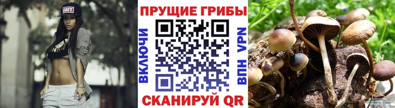 Псилоцибиновые грибы ЛСД  Купить закладки  Ноябрьск 